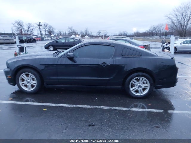 1ZVBP8AM4E5314617 Ford Mustang V6