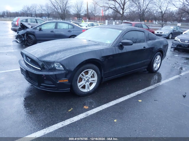 1ZVBP8AM4E5314617 Ford Mustang V6