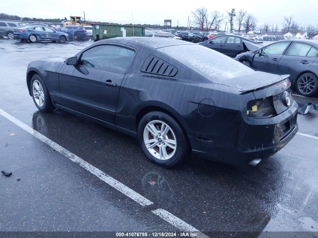 1ZVBP8AM4E5314617 Ford Mustang V6
