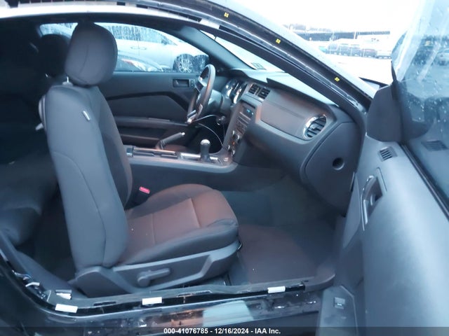 1ZVBP8AM4E5314617 Ford Mustang V6