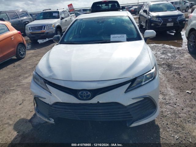 4T1C31AK7PU611068 Toyota Camry Le Hybrid
