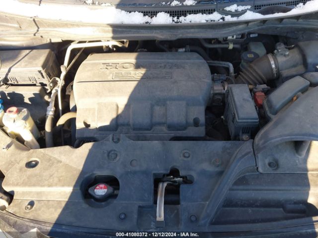 5FNRL5H31GB101263 Honda ODYSSEY SE