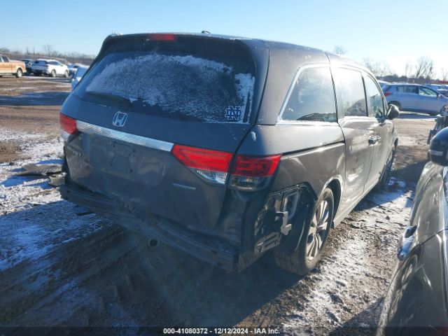 5FNRL5H31GB101263 Honda ODYSSEY SE