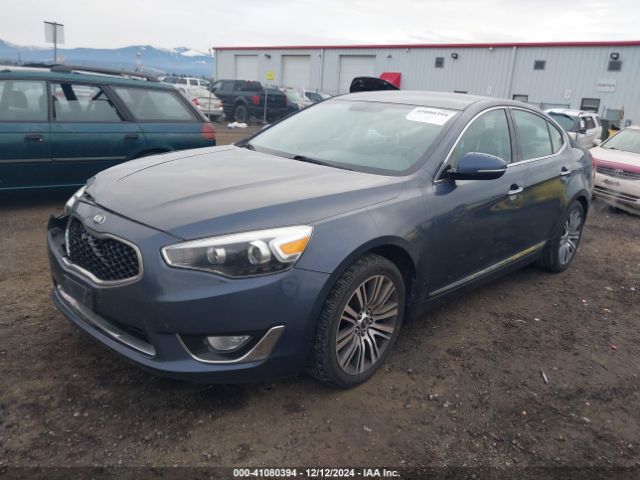 KNALN4D74F5173123 KIA Cadenza Premium