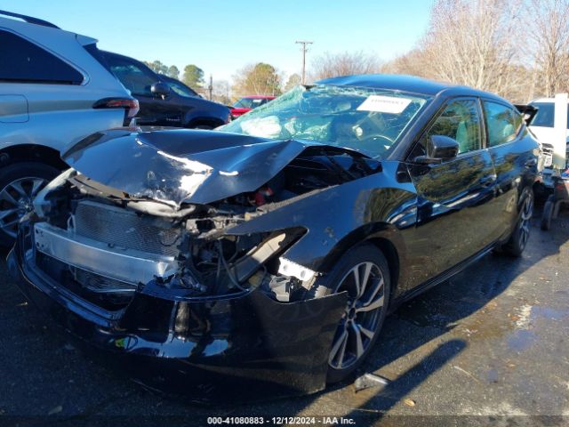 1N4AA6AP1HC361902 Nissan Maxima
