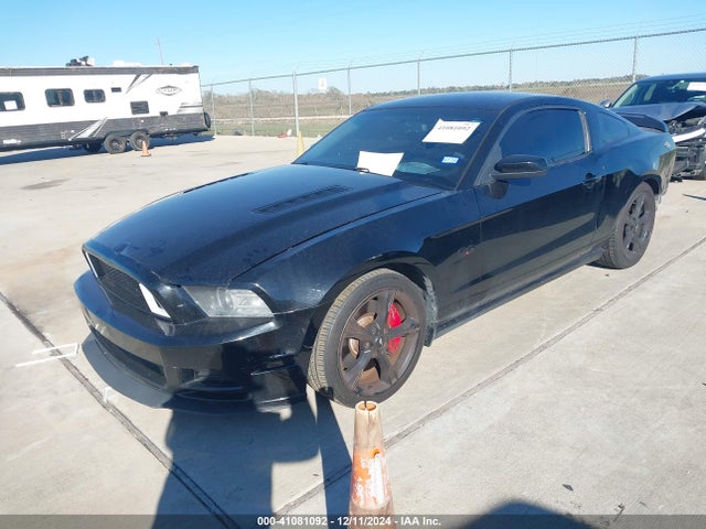 1ZVBP8CFXE5304026 Ford Mustang Gt Premium
