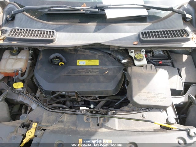 Ford ESCAPE SE 2014 1FMCU0GX4EUB81264 Image 10