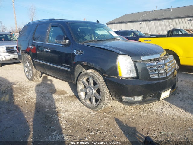 2010 CADILLAC ESCALADE 1GYUKCEF9AR177020 Photo 0