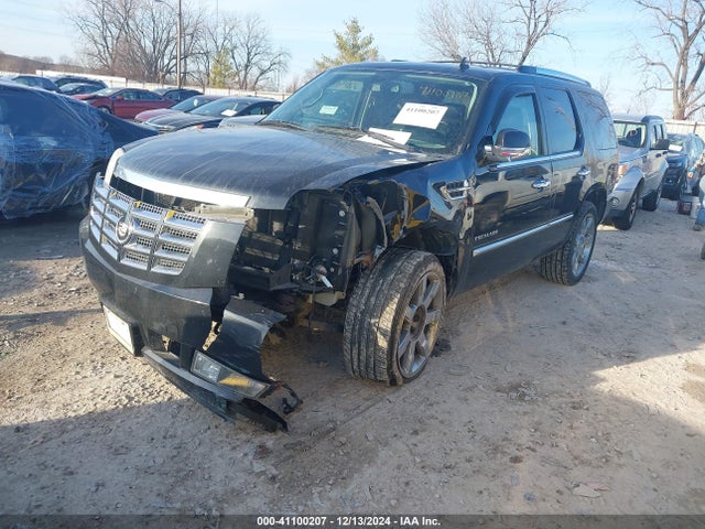 2010 CADILLAC ESCALADE 1GYUKCEF9AR177020 Photo 1