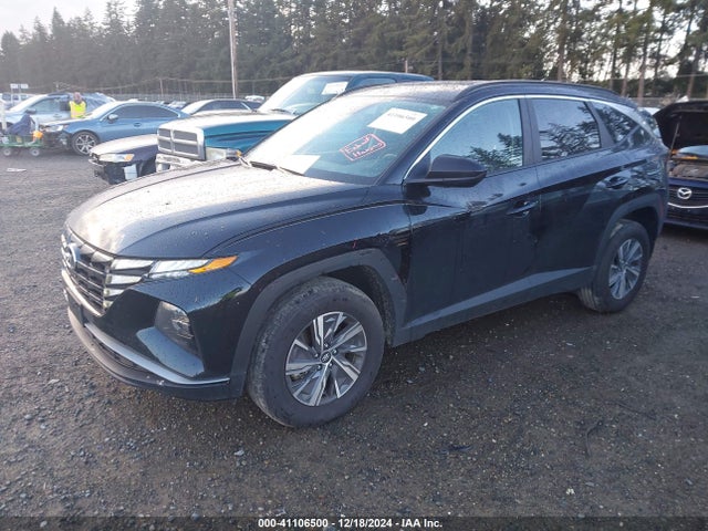 KM8JBCD16RU145905 Hyundai Tucson Hybrid Blue