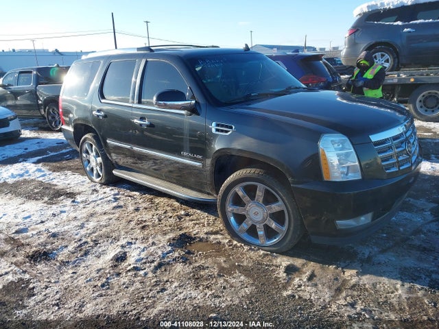 2010 CADILLAC ESCALADE 1GYUKAEF8AR140660 Photo 0