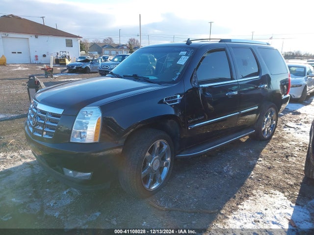 2010 CADILLAC ESCALADE 1GYUKAEF8AR140660 Photo 1