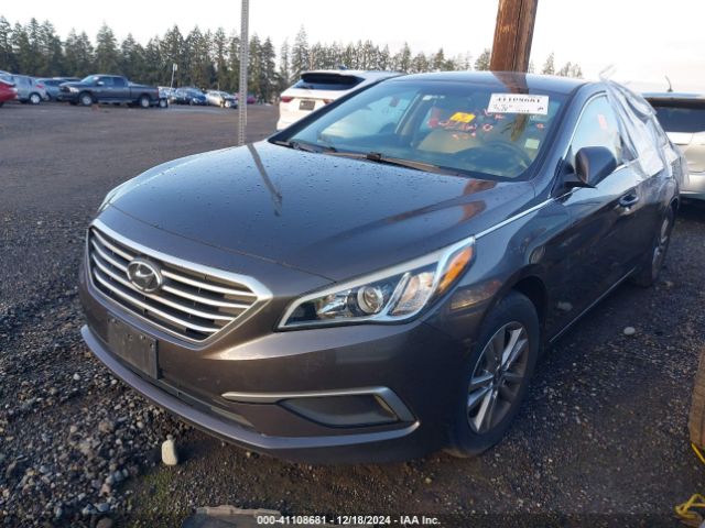 5NPE24AF9HH549205 Hyundai Sonata