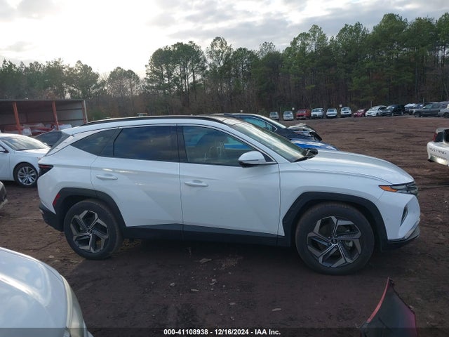 Hyundai Tucson Limited 2024 5NMJE3DE8RH354830 Image 13