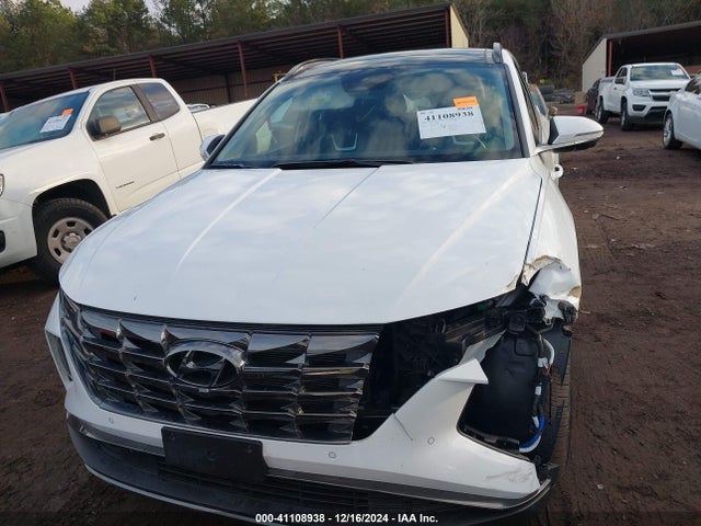 Hyundai Tucson Limited 2024 5NMJE3DE8RH354830 Image 6