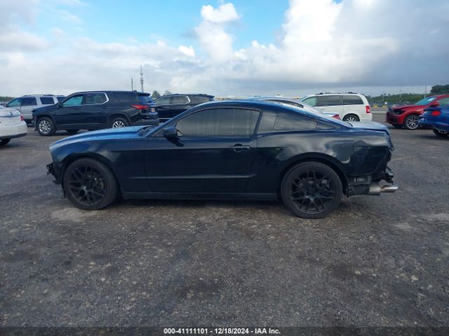 1ZVBP8AM6E5258292 Ford Mustang V6