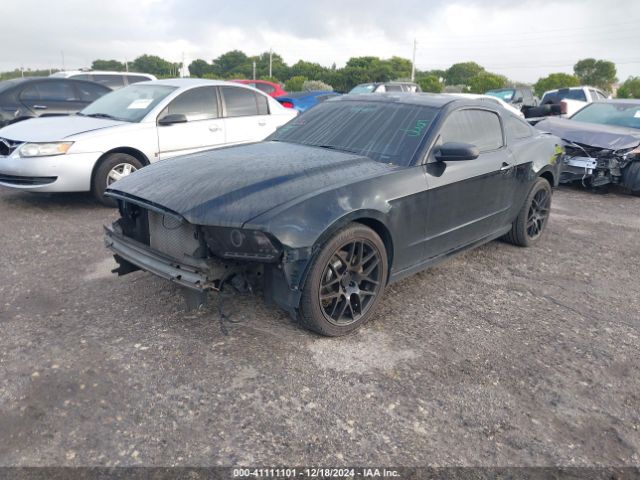 1ZVBP8AM6E5258292 Ford Mustang V6