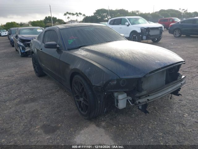 1ZVBP8AM6E5258292 Ford Mustang V6