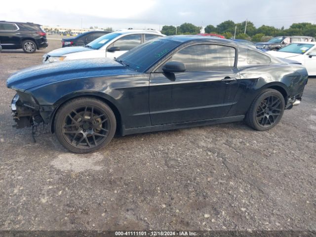 1ZVBP8AM6E5258292 Ford Mustang V6
