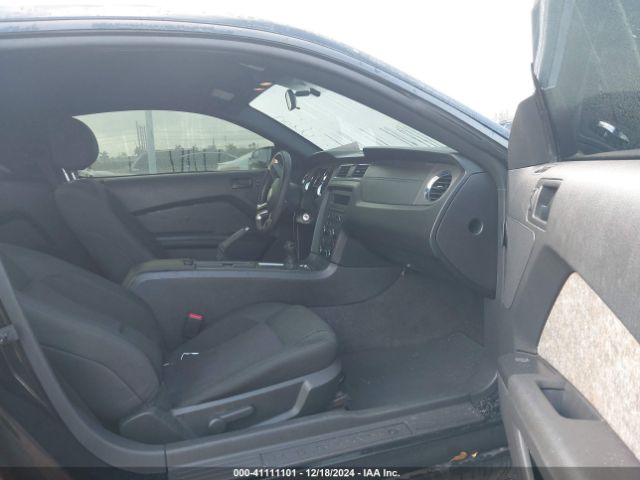 1ZVBP8AM6E5258292 Ford Mustang V6