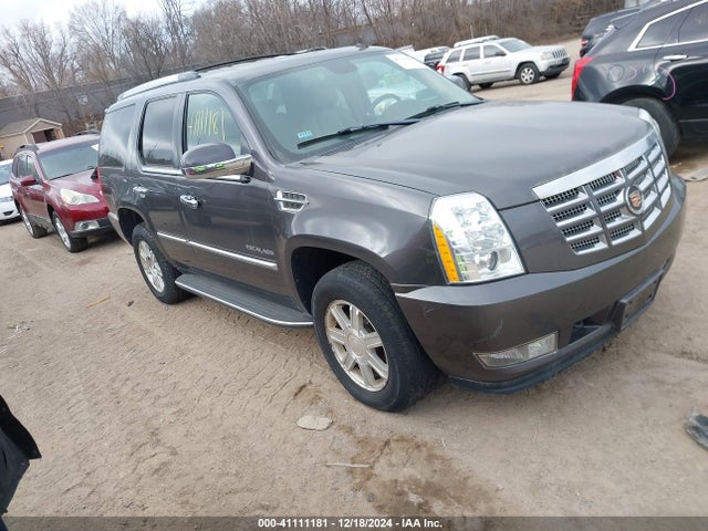 2010 CADILLAC ESCALADE 1GYUKAEF3AR254842 Photo 0