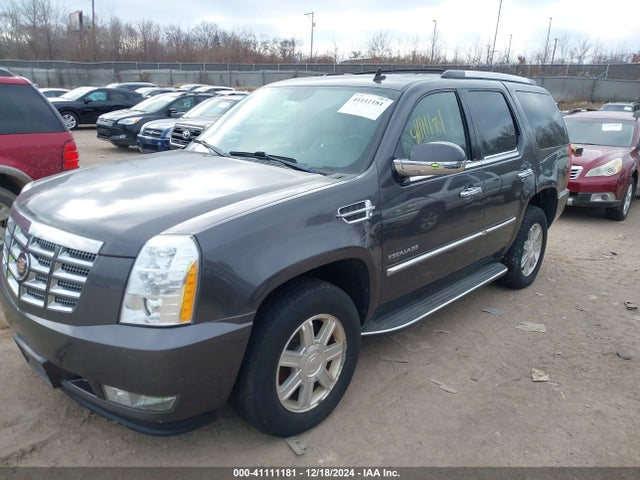 2010 CADILLAC ESCALADE 1GYUKAEF3AR254842 Photo 1
