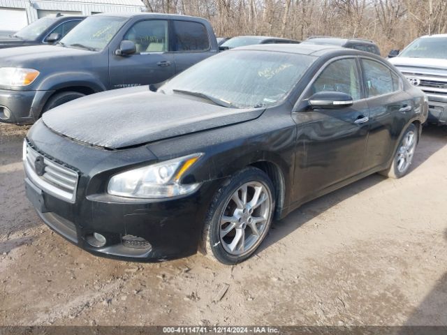 1N4AA5AP1EC469488 Nissan Maxima 3.5 Sv