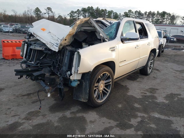 2013 CADILLAC ESCALADE 1GYS4CEF3DR118356 Photo 1