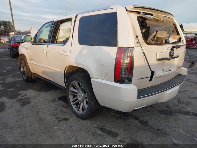 2013 CADILLAC ESCALADE 1GYS4CEF3DR118356 Photo 2