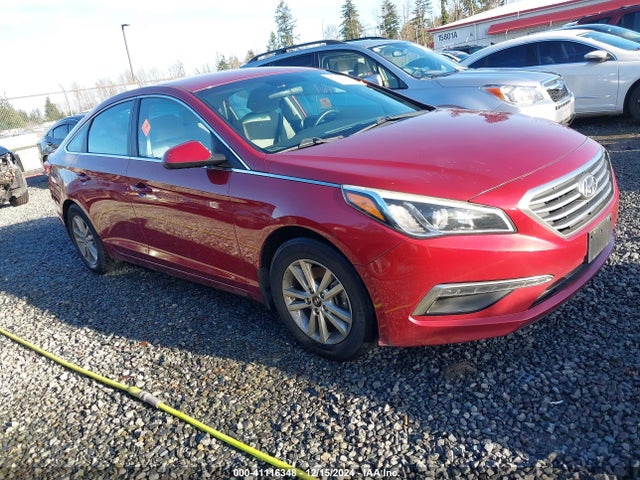 2015 5NPE24AF7FH173388 main image