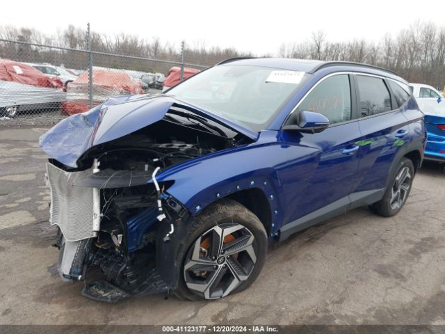 5NMJFCDEXRH319445 Hyundai TUCSON SEL