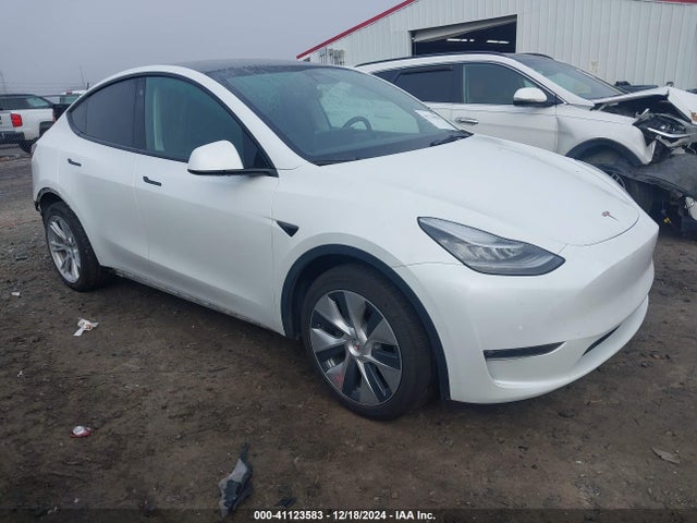 2021 TESLA MODEL Y 5YJYGAEE7MF294190 Photo 0