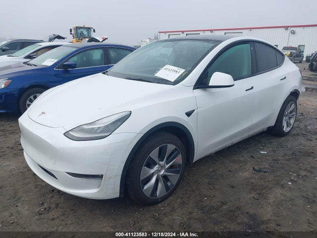 2021 TESLA MODEL Y 5YJYGAEE7MF294190 Photo 1