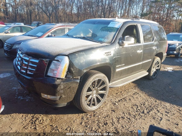 2011 CADILLAC ESCALADE 1GYS4AEF9BR252287 Photo 1