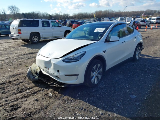 2021 TESLA MODEL Y 5YJYGDEE3MF299758 Photo 1