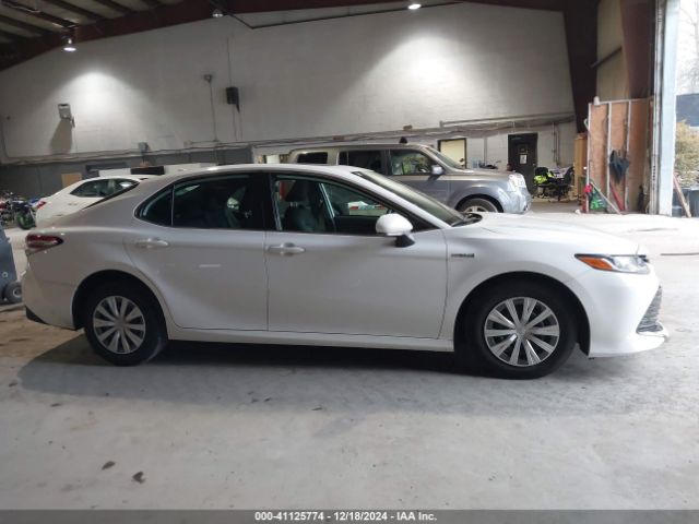4T1B31HK3KU515514 Toyota Camry Hybrid Le