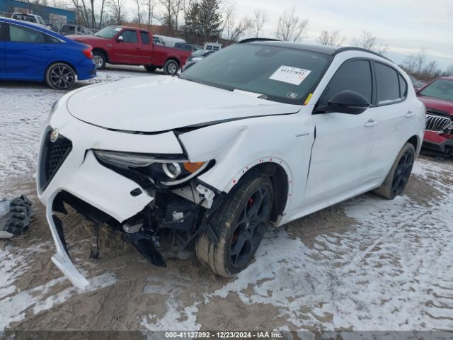2022 ALFA ROMEO STELVIO ZASPAKBN9N7D30435 Photo 1