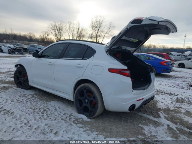 2022 ALFA ROMEO STELVIO ZASPAKBN9N7D30435 Photo 2