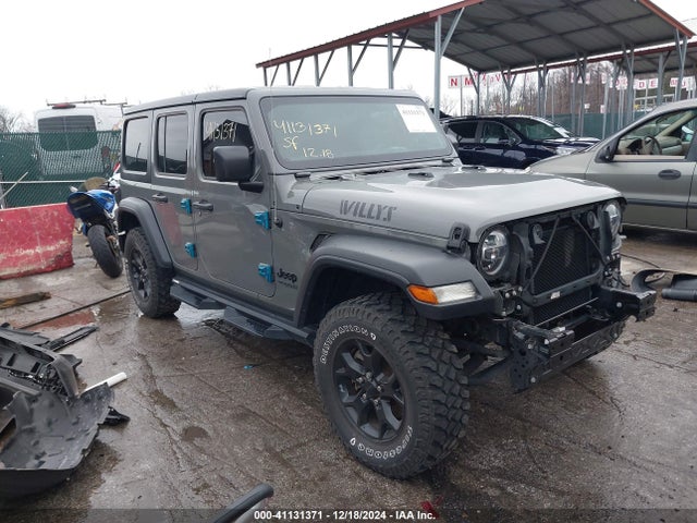 1C4HJXDN6LW280216 auction archive image