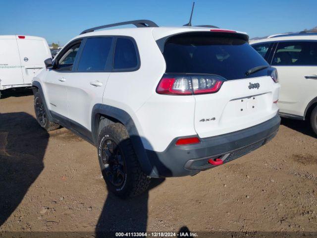1C4PJMBN9LD502465 Jeep Cherokee Trailhawk 4x4