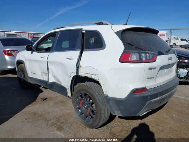 Jeep Cherokee Limited 4x4 2019 1C4PJMDX8KD345671 Image 3