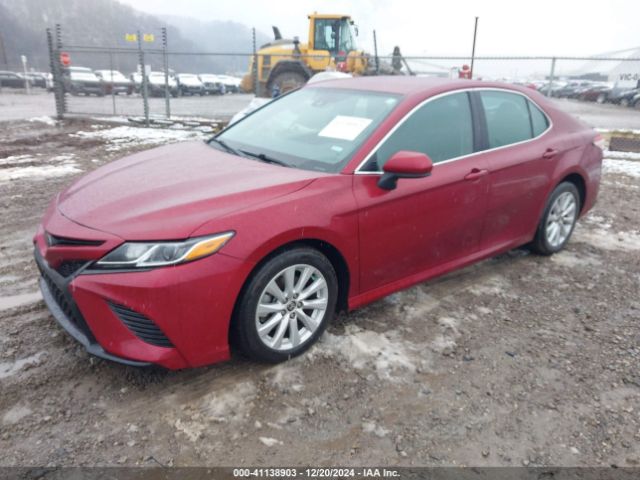 4T1C11AK4LU980308 Toyota CAMRY LE