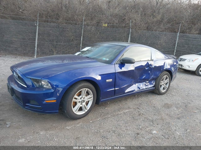 1ZVBP8AM0E5256358 Ford Mustang V6