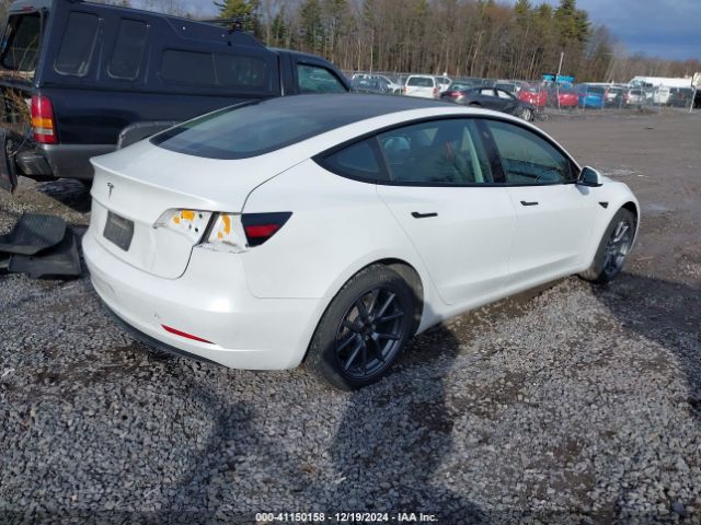 2023 TESLA MODEL 3 5YJ3E1EAXPF543227 Photo 3
