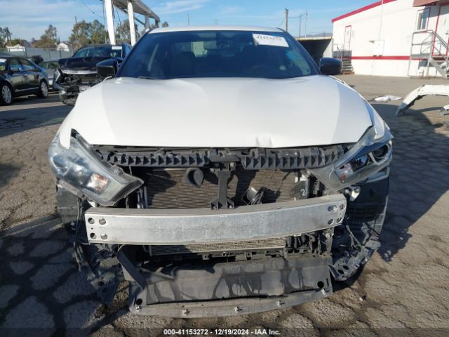 1N4AA6APXHC392355 Nissan Maxima 3.5 S