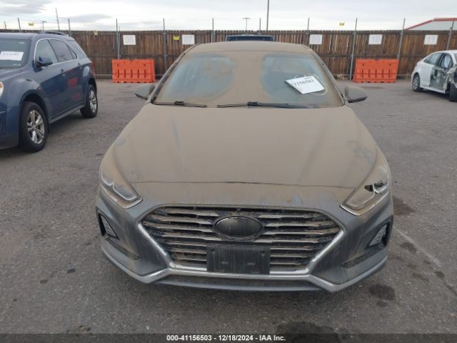 5NPE24AA7JH700536 Hyundai SONATA ECO