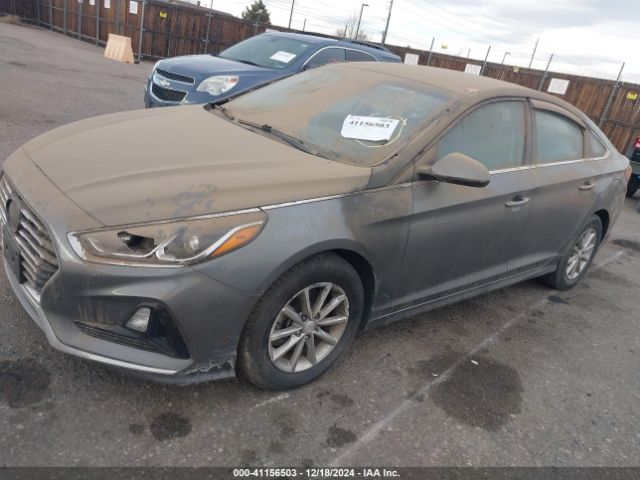 5NPE24AA7JH700536 Hyundai SONATA ECO