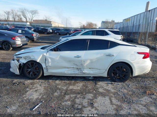 1N4AA6AP3HC360265 Nissan Maxima 3.5 S