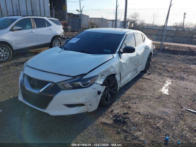1N4AA6AP3HC360265 Nissan Maxima 3.5 S