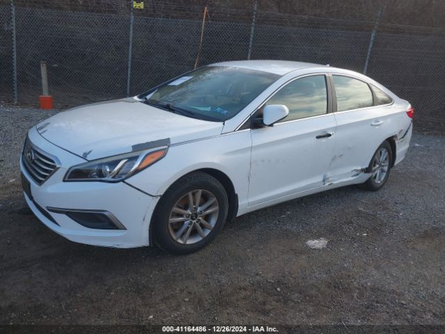 5NPE24AF1GH434130 Hyundai SONATA SE